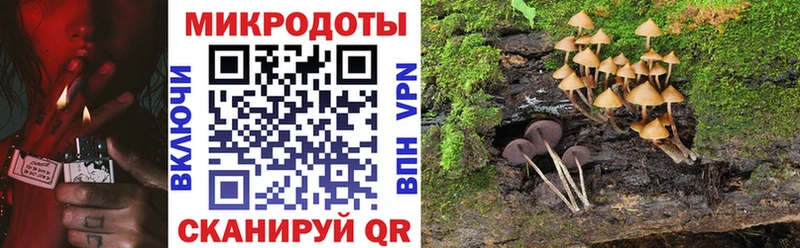 Галлюциногенные грибы Magic Shrooms  Староминская 